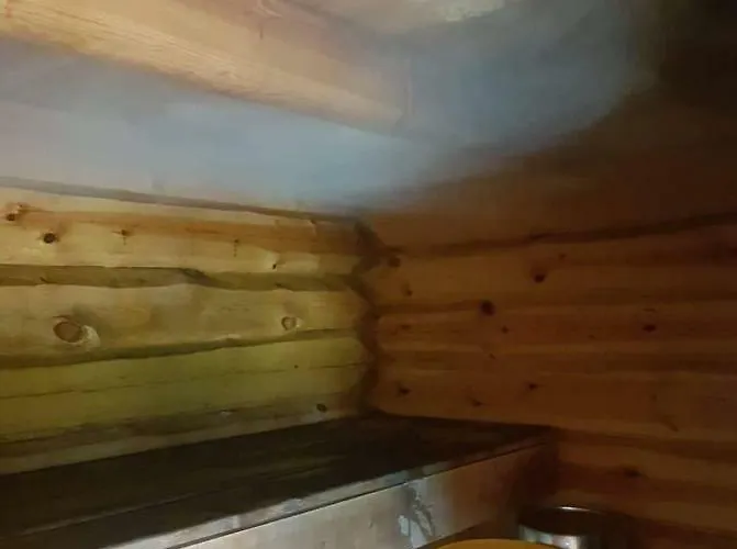 بيت ضيافة Ligedama Kuelalistemaja Koljaku